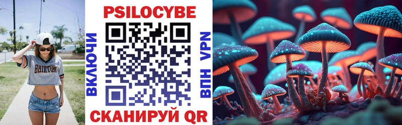 дарнет шоп  Бикин  Псилоцибиновые грибы GOLDEN TEACHER 